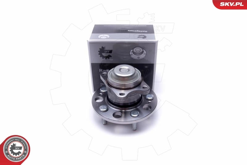 Wheel Bearing Kit